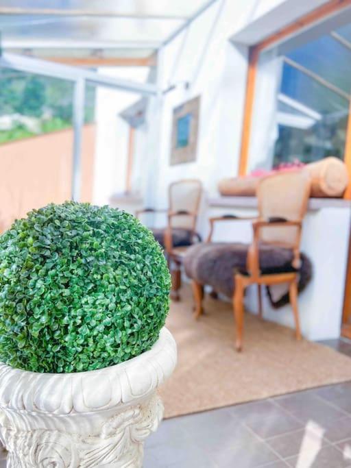Tipica Casa Andorrana En Encamp L By Bonesvacances Ngoại thất bức ảnh